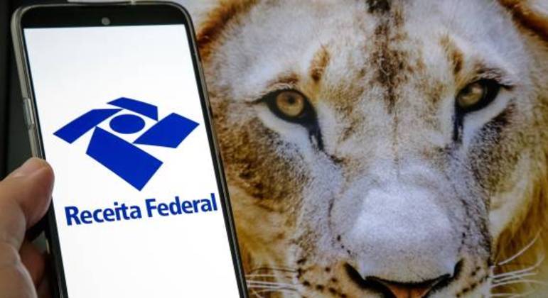 como evitar cair na malha fina